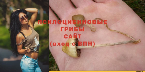 гидра Краснослободск